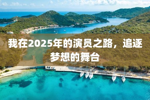 我在2025年的演員之路，追逐夢(mèng)想的舞臺(tái)