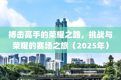 搏擊高手的榮耀之路，挑戰(zhàn)與榮耀的賽場之旅（2025年）