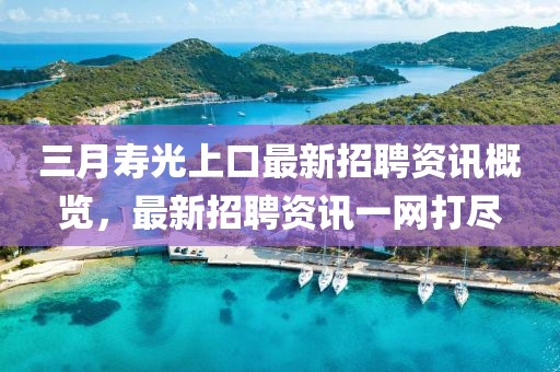 三月壽光上口最新招聘資訊概覽，最新招聘資訊一網(wǎng)打盡