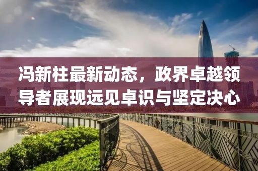 馮新柱最新動(dòng)態(tài)，政界卓越領(lǐng)導(dǎo)者展現(xiàn)遠(yuǎn)見(jiàn)卓識(shí)與堅(jiān)定決心