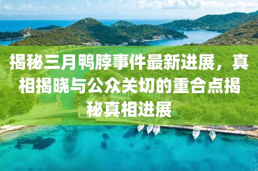 揭秘三月鴨脖事件最新進(jìn)展，真相揭曉與公眾關(guān)切的重合點(diǎn)揭秘真相進(jìn)展