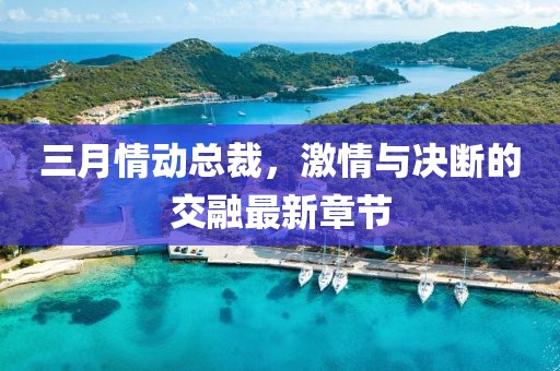 三月情動(dòng)總裁，激情與決斷的交融最新章節(jié)