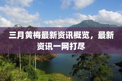 三月黃梅最新資訊概覽，最新資訊一網(wǎng)打盡