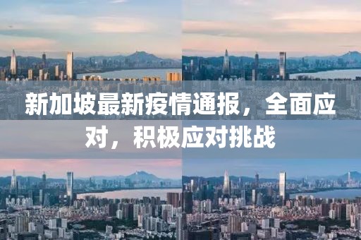 新加坡最新疫情通報，全面應對，積極應對挑戰(zhàn)