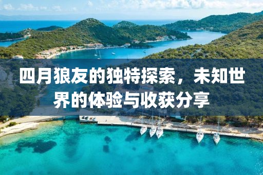 四月狼友的獨(dú)特探索，未知世界的體驗(yàn)與收獲分享
