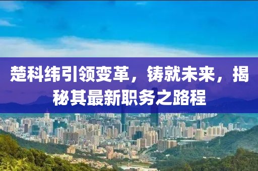 楚科緯引領(lǐng)變革，鑄就未來(lái)，揭秘其最新職務(wù)之路程
