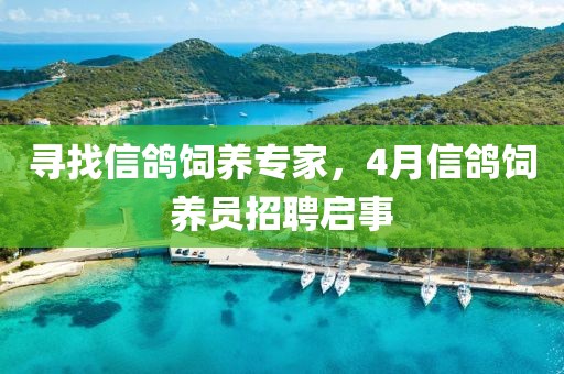 尋找信鴿飼養(yǎng)專(zhuān)家，4月信鴿飼養(yǎng)員招聘啟事