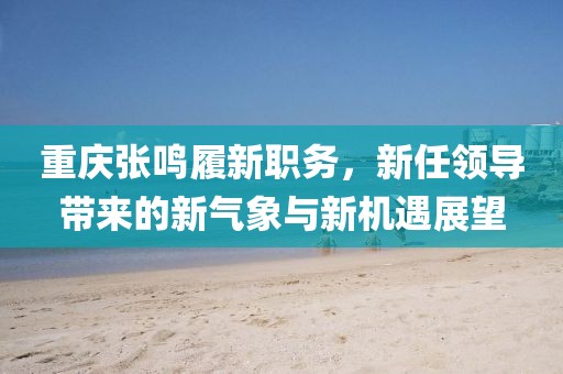 重慶張鳴履新職務(wù)，新任領(lǐng)導(dǎo)帶來的新氣象與新機遇展望