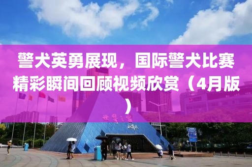 警犬英勇展現(xiàn)，國際警犬比賽精彩瞬間回顧視頻欣賞（4月版）