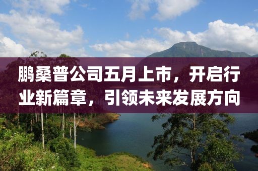 鵬桑普公司五月上市，開啟行業(yè)新篇章，引領(lǐng)未來發(fā)展方向