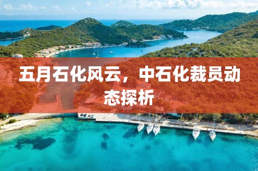 五月石化風(fēng)云，中石化裁員動(dòng)態(tài)探析