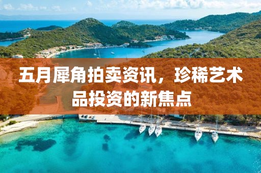 五月犀角拍賣資訊，珍稀藝術(shù)品投資的新焦點