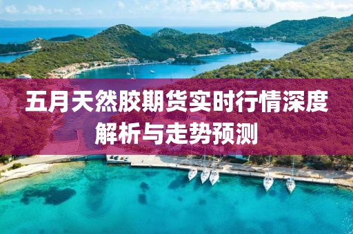 五月天然膠期貨實時行情深度解析與走勢預測