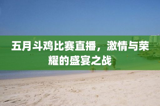 五月斗雞比賽直播，激情與榮耀的盛宴之戰(zhàn)