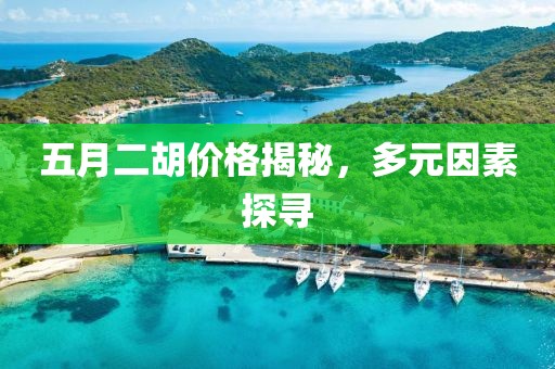 五月二胡價(jià)格揭秘，多元因素探尋