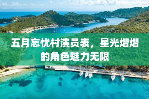 五月忘憂村演員表，星光熠熠的角色魅力無限