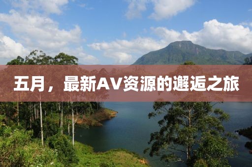 五月，最新AV資源的邂逅之旅