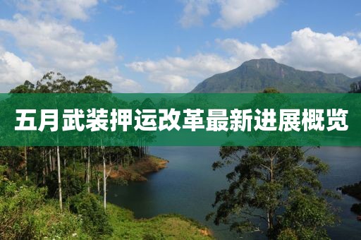五月武裝押運改革最新進(jìn)展概覽