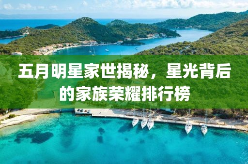 五月明星家世揭秘，星光背后的家族榮耀排行榜