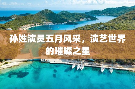 孫姓演員五月風(fēng)采，演藝世界的璀璨之星
