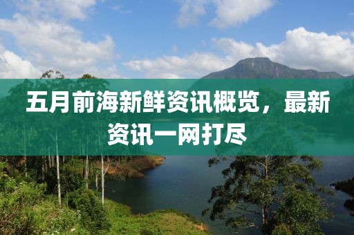 五月前海新鮮資訊概覽，最新資訊一網(wǎng)打盡