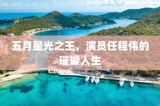 五月星光之王，演員任程偉的璀璨人生