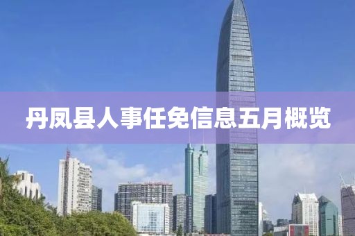 丹鳳縣人事任免信息五月概覽