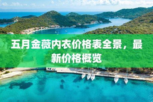 五月金薇內(nèi)衣價(jià)格表全景，最新價(jià)格概覽