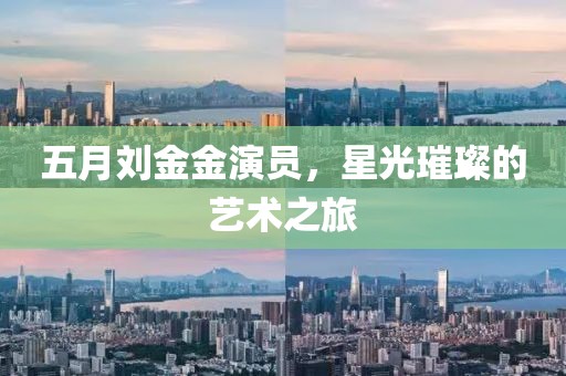 五月劉金金演員，星光璀璨的藝術(shù)之旅