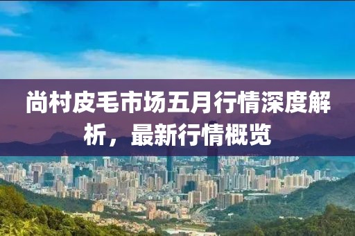 尚村皮毛市場五月行情深度解析，最新行情概覽