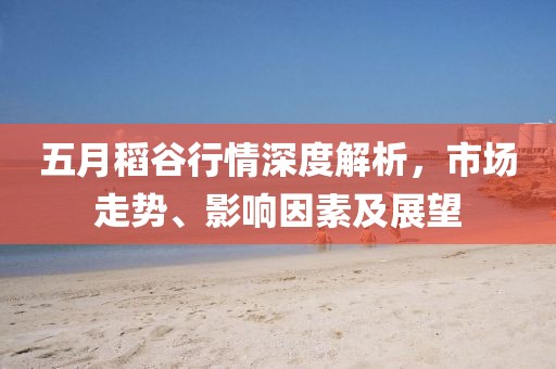 五月稻谷行情深度解析，市場走勢、影響因素及展望
