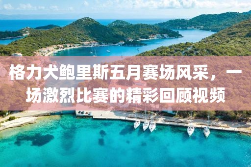 格力犬鮑里斯五月賽場(chǎng)風(fēng)采，一場(chǎng)激烈比賽的精彩回顧視頻