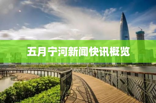 五月寧河新聞快訊概覽