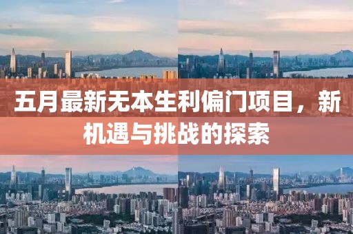 五月最新無本生利偏門項(xiàng)目，新機(jī)遇與挑戰(zhàn)的探索