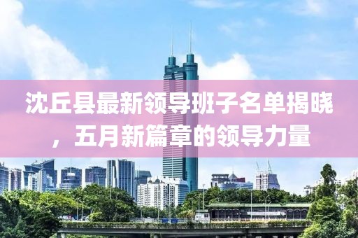 沈丘縣最新領(lǐng)導(dǎo)班子名單揭曉，五月新篇章的領(lǐng)導(dǎo)力量