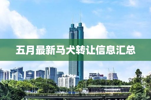 五月最新馬犬轉(zhuǎn)讓信息匯總