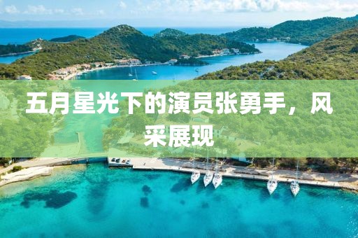 五月星光下的演員張勇手，風(fēng)采展現(xiàn)