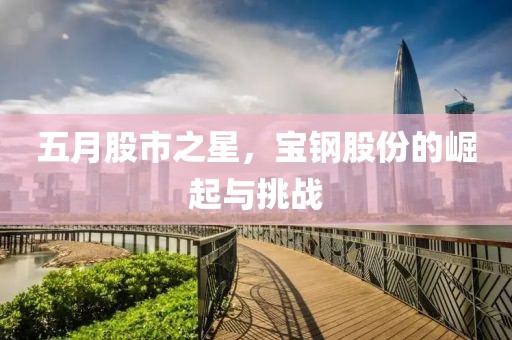 五月股市之星，寶鋼股份的崛起與挑戰(zhàn)