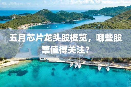 五月芯片龍頭股概覽，哪些股票值得關(guān)注？