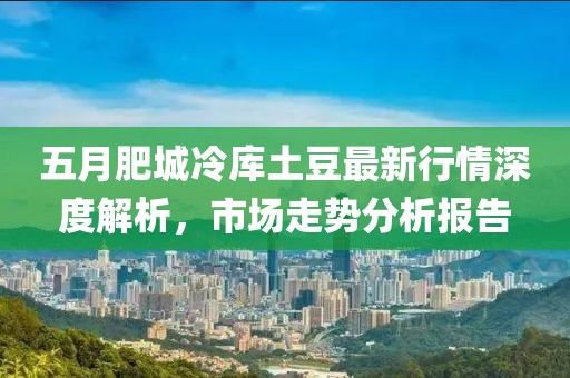 五月肥城冷庫土豆最新行情深度解析，市場走勢分析報告