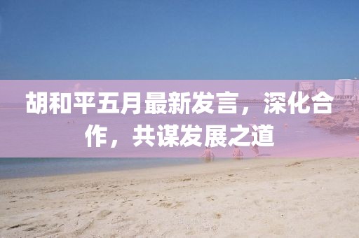 胡和平五月最新發(fā)言，深化合作，共謀發(fā)展之道