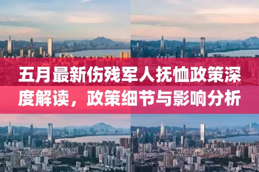 五月最新傷殘軍人撫恤政策深度解讀，政策細(xì)節(jié)與影響分析
