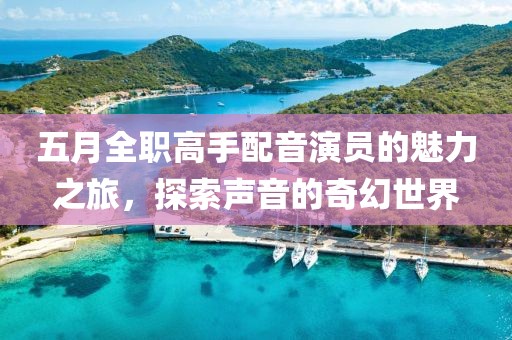 五月全職高手配音演員的魅力之旅，探索聲音的奇幻世界