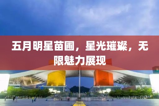 五月明星苗圃，星光璀璨，無限魅力展現(xiàn)