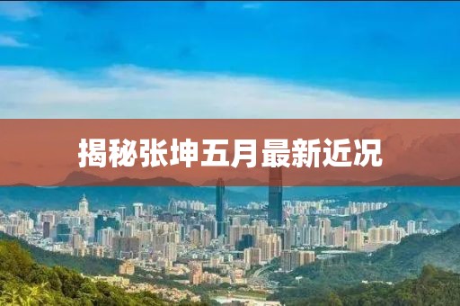揭秘張坤五月最新近況