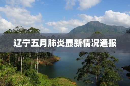 遼寧五月肺炎最新情況通報