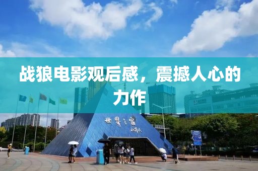 戰(zhàn)狼電影觀后感，震撼人心的力作