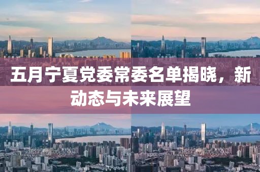 五月寧夏黨委常委名單揭曉，新動(dòng)態(tài)與未來展望