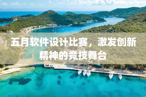 五月軟件設(shè)計(jì)比賽，激發(fā)創(chuàng)新精神的競技舞臺(tái)