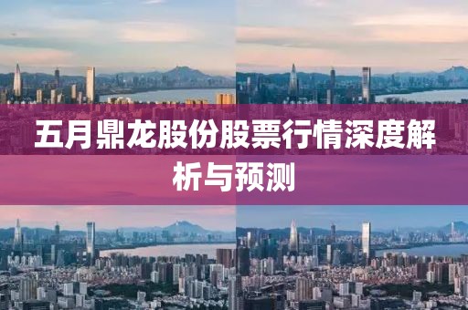 五月鼎龍股份股票行情深度解析與預(yù)測